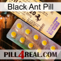 Black Ant Pill new06